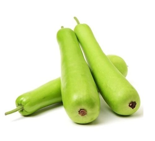 Bottle Gourd (लौकी)